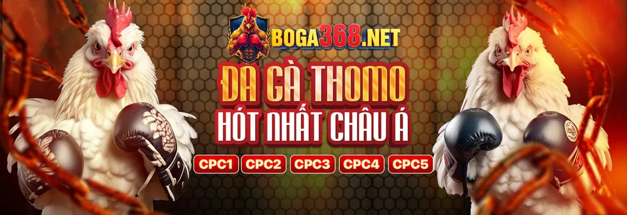 Đội ngũ chuyên nghiệp của công ty 789BET