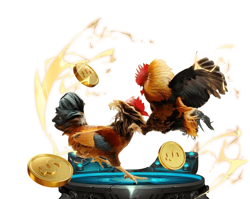 Trò chơi đá gà trực tuyến